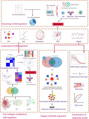 Novel insight into m6A regulator-mediated methylation modification patterns and immune characteristics in intracranial aneurysm